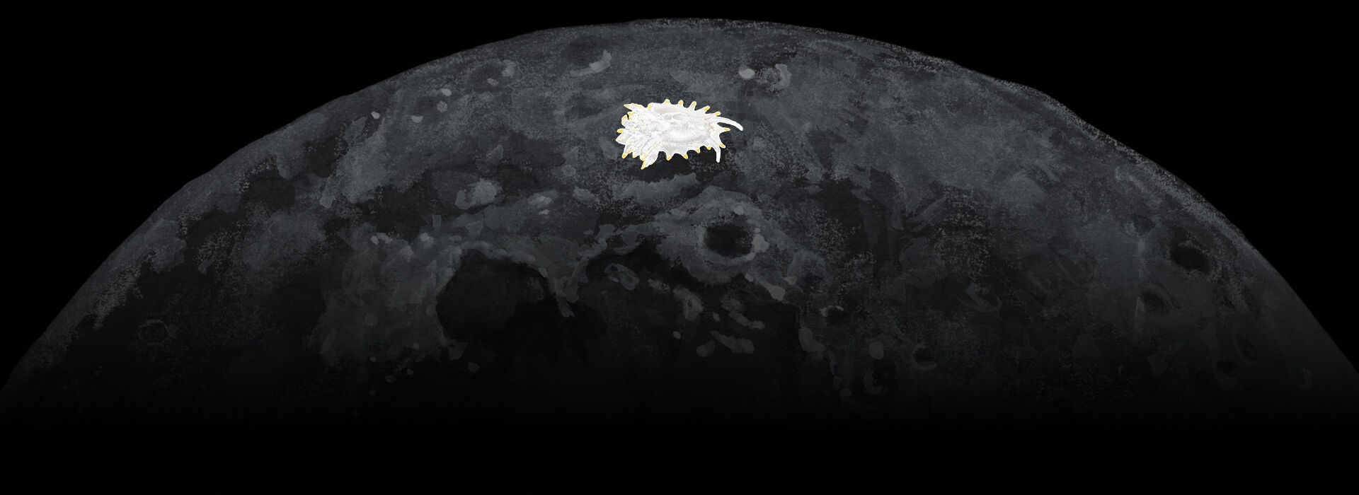 Okenia Luna